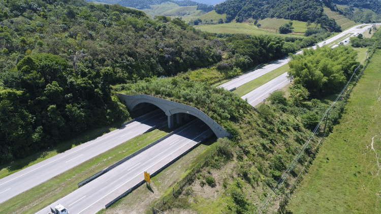 Viaduto para animais construído no km 218 da BR-101