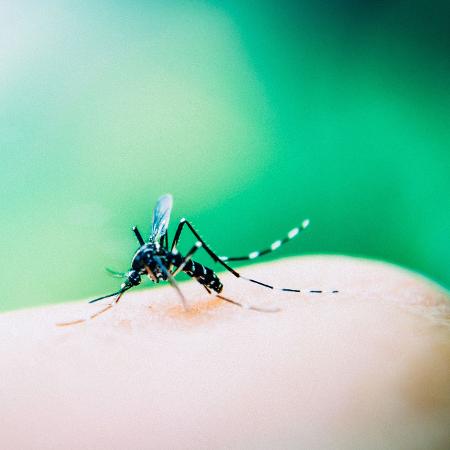 Número de casos de dengue no Brasil chegou a 322 mil - Getty Images
