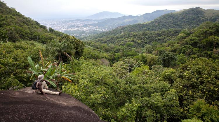 Parque Nacional da Tijuca é administrado pelo ICMBio Parque Nacional da Tijuca é administrado pelo ICMBio