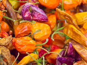 Pimenta de cheiro - iStock - iStock