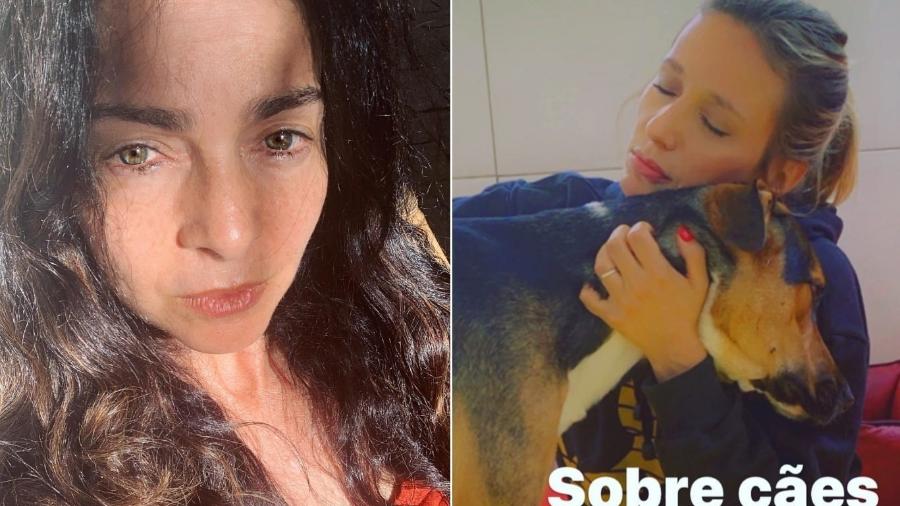 Claudia Ohana foi crtiticada por Luisa Mell: "Infelizmente, este caso não é único" - Reprodução/Instagram