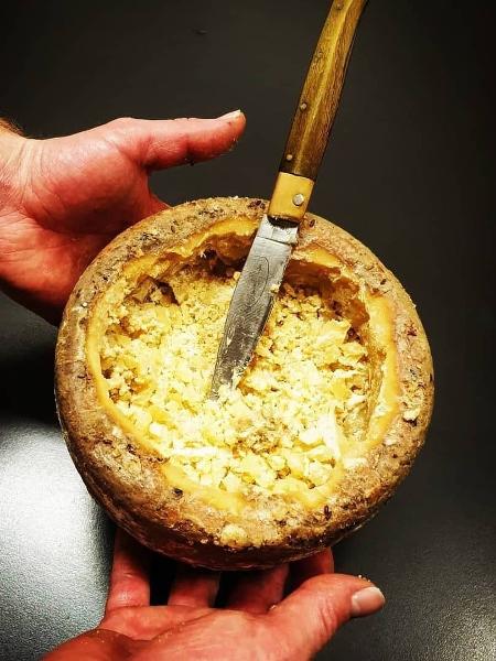 Queijo com larvas típico da Sardenha tem sabor intenso - Reprodução Instagram