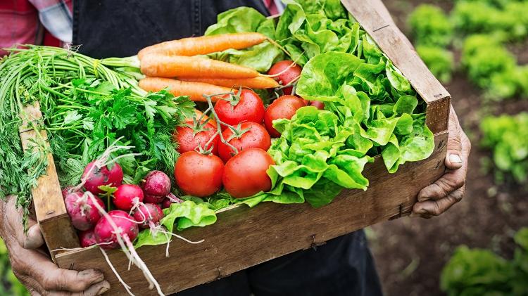 Os orgânicos são seguros e nutritivos, só não existem justificativas científicas ou éticas que mostrem que são melhores - iStock