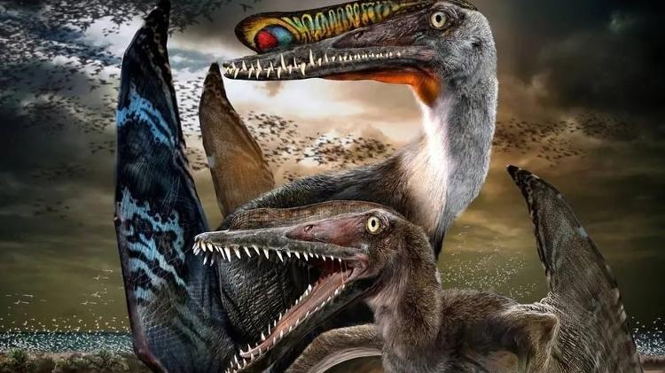 dinossauros - Divulgação - Divulgação