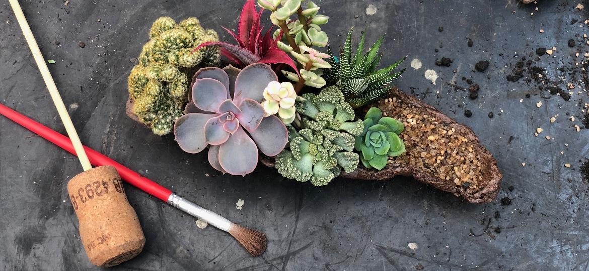 Pincel, rolha e palito de churrasco podem ser transformados em utensílios para a jardinagem - Minhas Plantas
