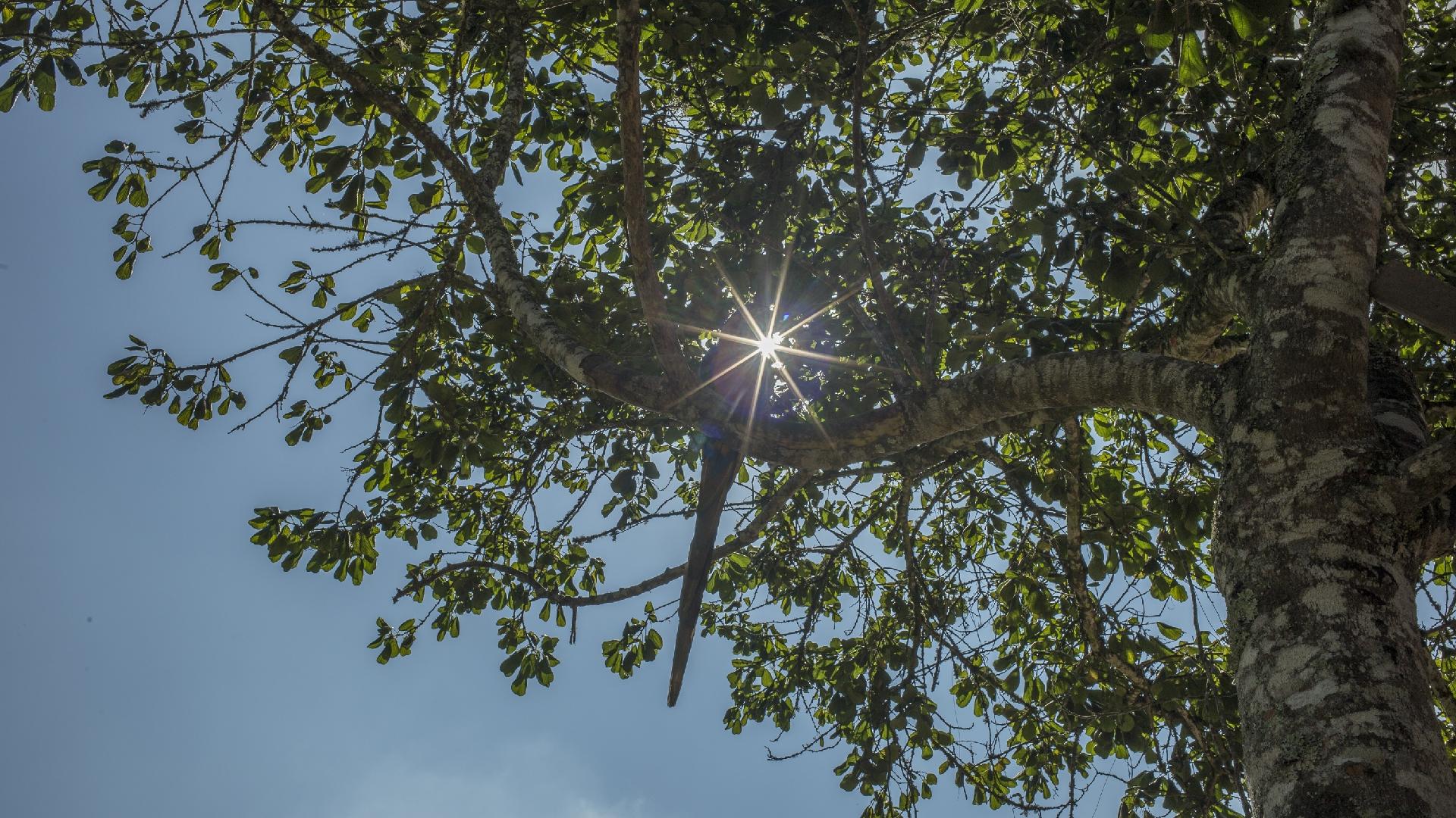 Jardiel Carvalho/UOL