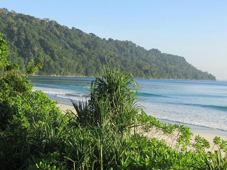 Radhanagar Beach: Havelock Island, Índia - Reprodução/Tripadvisor - Reprodução/Tripadvisor