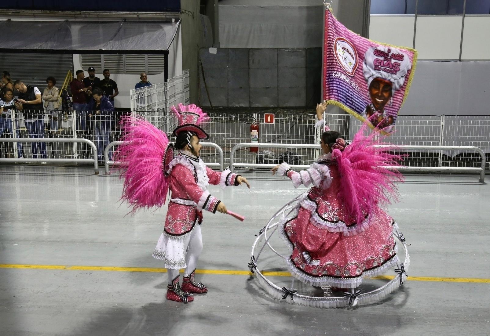 Desfile da Estrela do Terceiro Milênio, campeã no Grupo de Acesso I - Cláudio Augusto/Ag.Brazil News