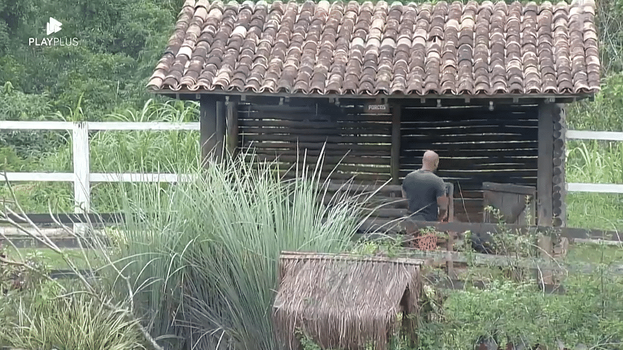 A Fazenda 2023: Cezar chega para cuidar dos porcos - Reprodução/Playplus