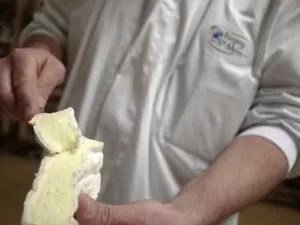 Um mundo sem camembert e roquefort: queijos franceses podem estar com os dias contados