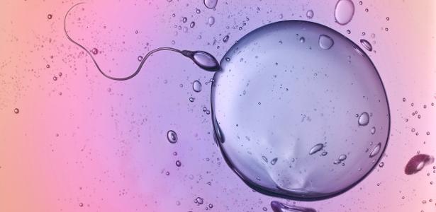 fecundacao-ovulo-esperma-fertilidade-143
