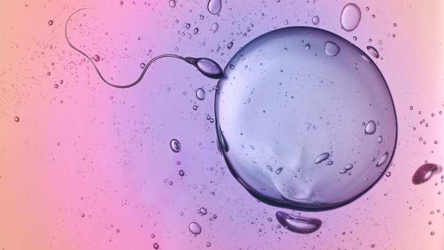Líquido pré-ejaculatório pode conter espermatozoides móveis