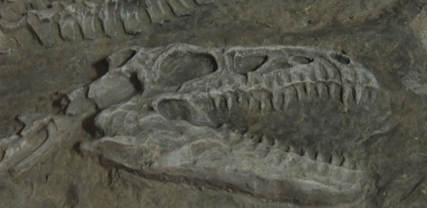 Pavilhão da Terra leva os visitantes a conhecer curiosidades sobre o planeta, como a presença de dinossauros - Divulgação/Parque da Ciência - Divulgação/Parque da Ciência