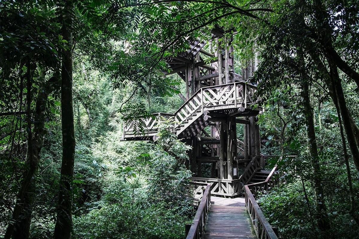 “Pós-Poste” - Divulgação