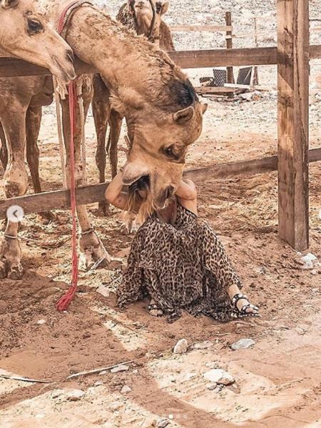 Giovanna Ewbank é atacada por camelos, e Gagliasso compartilha registro - Reprodução/Instagram