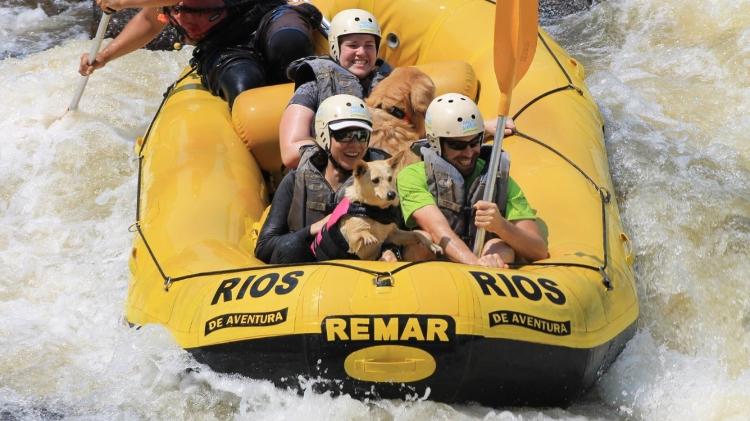 Cães descem o Rio do Peixe o bote em rafting pet friendly - Divulgação - Divulgação