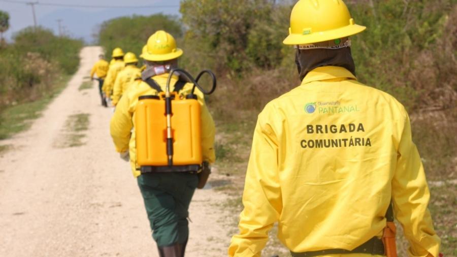 Brigadas voluntários em treinamento para treinamento contra queimadas no Pantanal - Reprodução/ECOA
