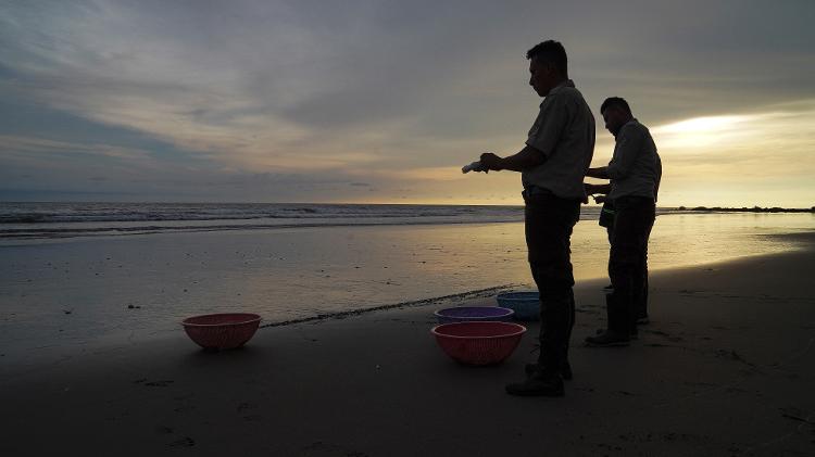 Membros do Ministério do Meio Ambiente e Recursos Naturais (Marena) se preparam para soltar as tartarugas.