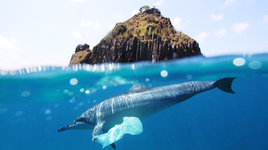 Sacola plástica enroscada em golfinho-rotador