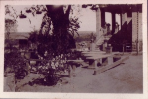 mário1 - IEB-USP - IEB-USP