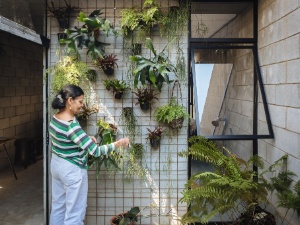 Pedro Kok/ Divulgação