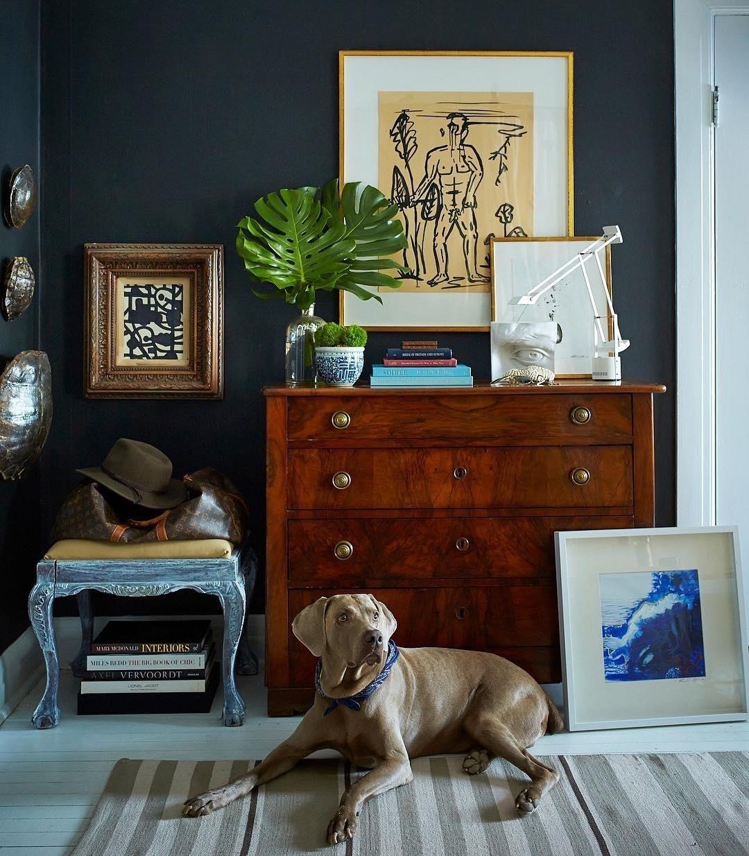 O weimaraner Baylor é quase uma "marca registrada" na fotos dos ambientes da casa do designer William McLure. Ele é tão classudo que deixa a sala ainda mais bonita - Instagram/@william_mclure