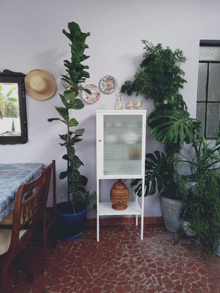 André Perillo restaura os armários - Arquivo pessoal - Arquivo pessoal