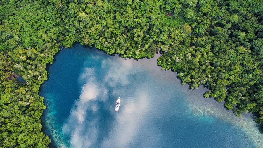 O veleiro Kat e a união do azul com o verde O veleiro Kat e a união do azul com o verde