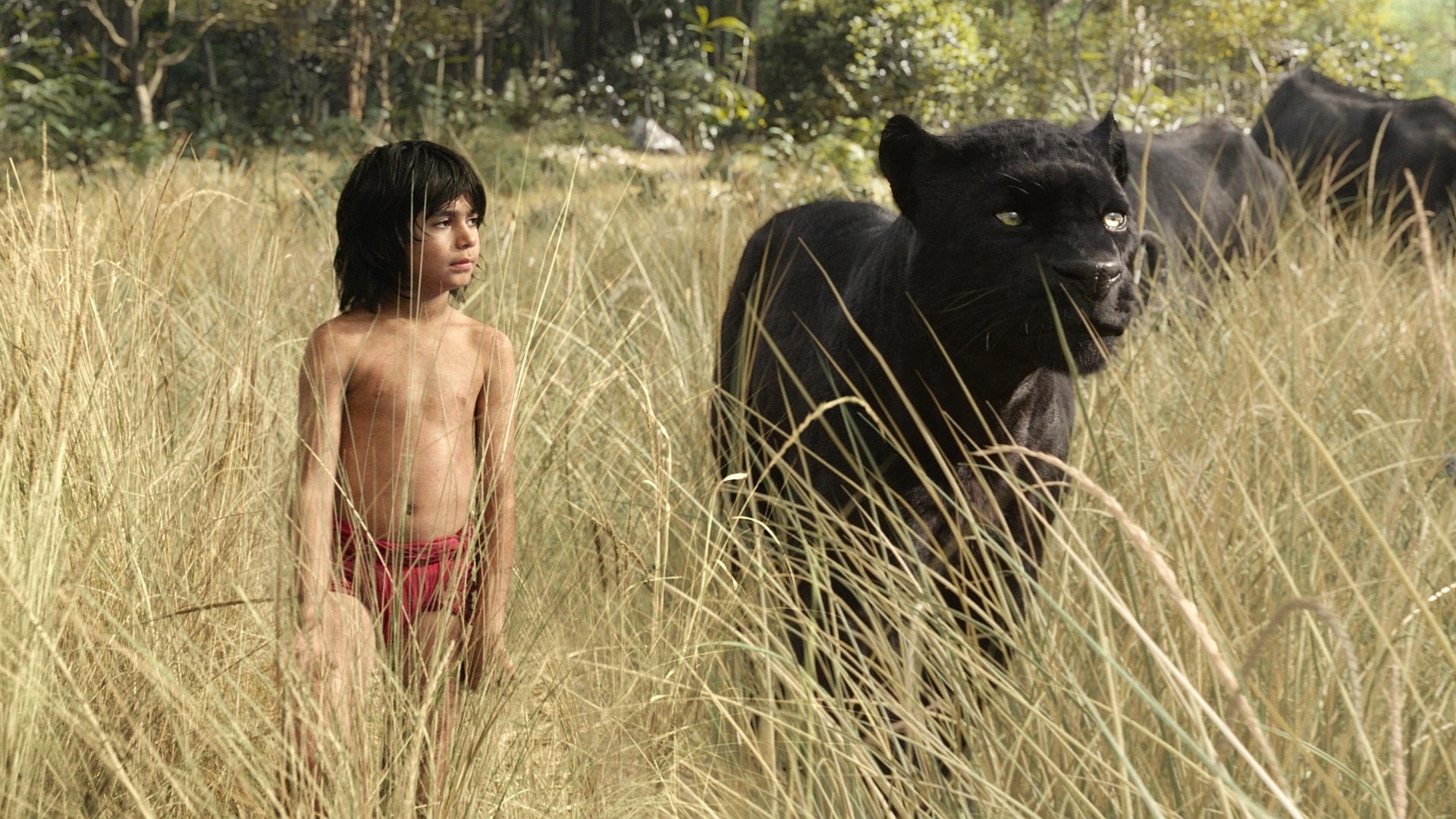 Cena do filme "Mogli - O Menino Lobo" - Divulgação