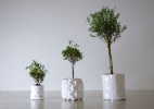 Sem replantio: vaso aumenta de tamanho conforme a planta cresce - Thomas Essl/ Divulgação/ Studio Ayaskan