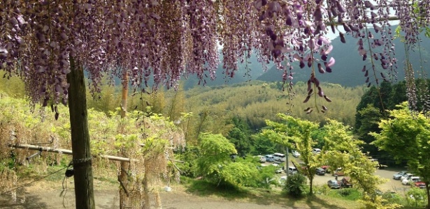 O Kawachi Fujien fica em uma região montanhosa no sul do Japão - そらみみ/Creative Commons - そらみみ/Creative Commons