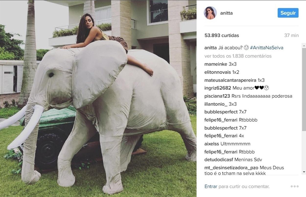 Anitta comemora 24 anos com festa com o tema "na selva" - Reprodução/Instagram