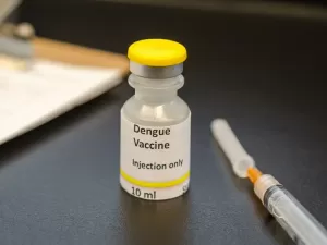 Qual a eficácia? Tem reações? Tire dúvidas sobre a vacina contra a dengue 