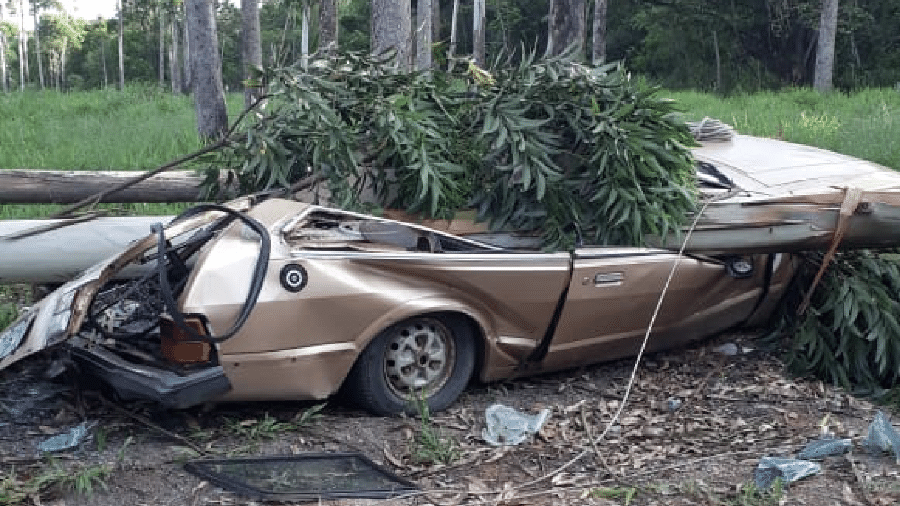 "Ford Belina Highlander" sobreviveu após ser atingida por eucalipto com mais de 30 metros em SC e hoje sobrevive como picape - Arquivo pessoal