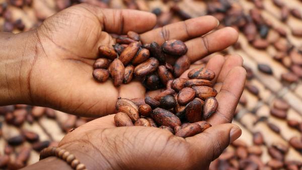 A sociobioeconomia propõe o uso sustentável da nossa biodiversidade, integrando a ciência, tecnologia e saberes tradicionais A sociobioeconomia propõe o uso sustentável da nossa biodiversidade, integrando a ciência, tecnologia e saberes tradicionais