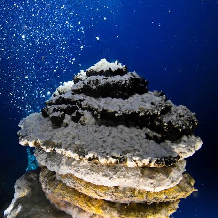Reunião termina com alertas mais severos contra a mineração em águas profundas Reunião termina com alertas mais severos contra a mineração em águas profundas