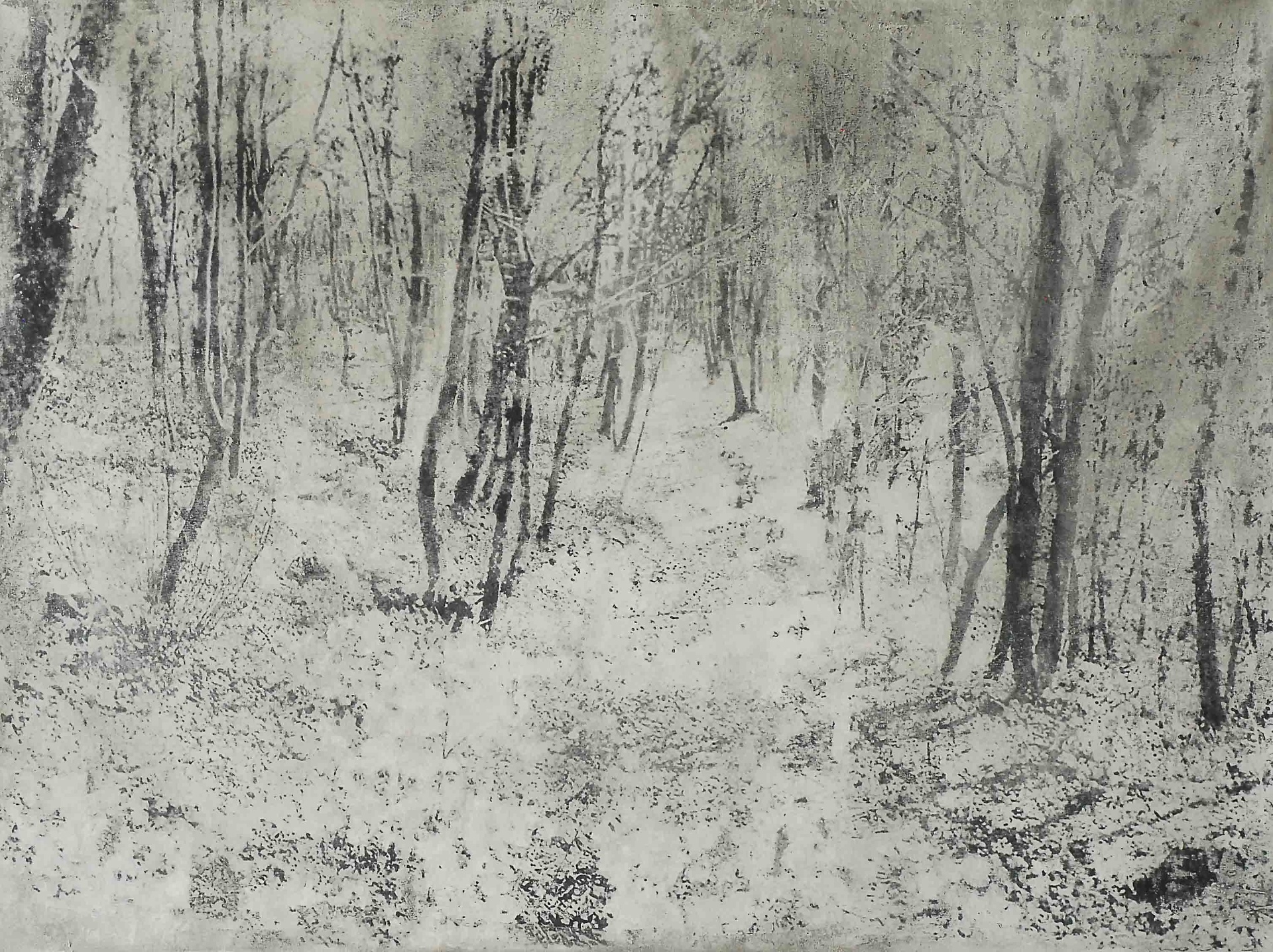 Adriana Rocha - Divulgação