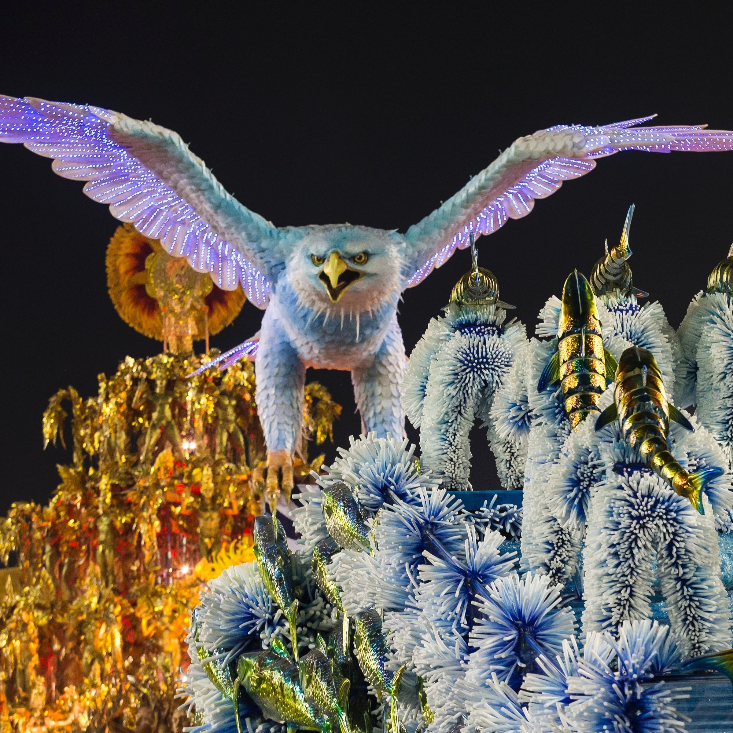 Carnaval 2017: Com enredo sobre rios, Portela é campeã e quebra jejum de 33  anos - CarnaUOL