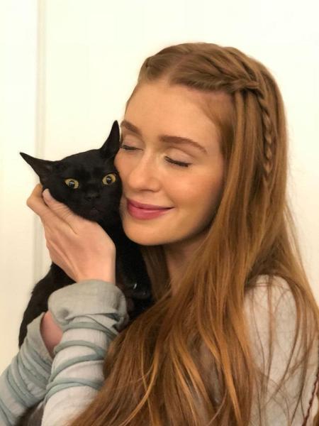 Marina Ruy Barbosa conhece o gato com quem contracenará em "O Sétimo Guardião" - Reprodução/Instagram/aguinaldofsilva