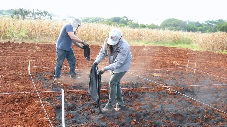 Aplicação de biocarvão e preparo do solo para cultivo em área experimental do Instituto Agronômico de Campinas