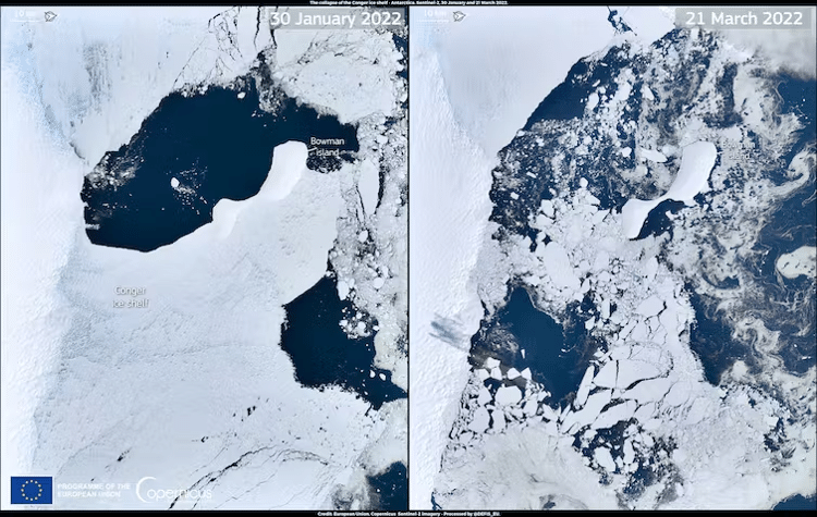 Essas imagens, adquiridas pelos satélites Copernicus Sentinel-2 em 30 de janeiro de 2022 (esquerda) e 21 de março de 2022 (direita), mostram a plataforma de gelo Conger antes e depois do colapso, que foi desencadeado por uma onda de calor chocante