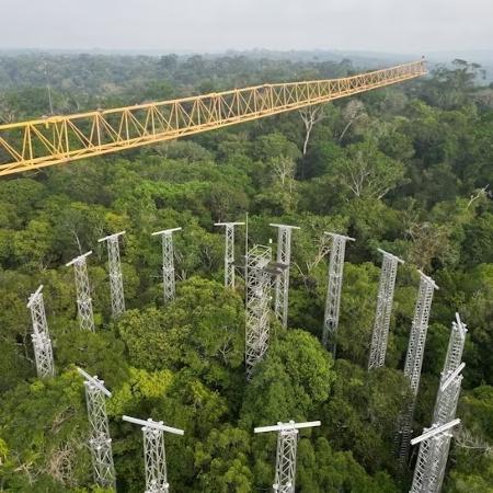 Tecnologia FACE é um imenso sistema circular de torres que liberam ar enriquecido com CO2, permitindo avaliar seu efeito em grandes áreas florestais