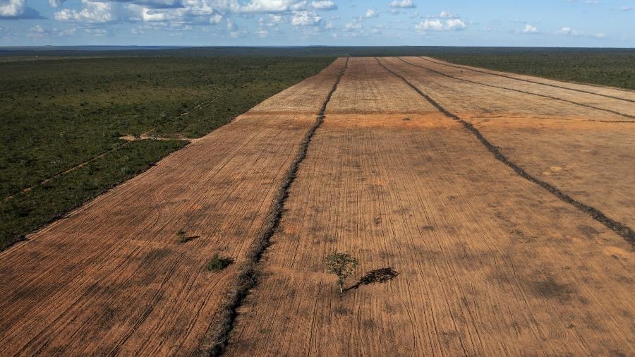 Área desmatada de cerrado no Tocantins, na região do Jalapão Área desmatada de cerrado no Tocantins, na região do Jalapão