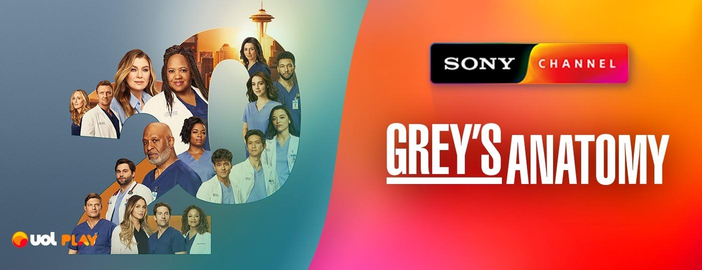 20ª temporada de Grey"s Anatomy se aproxima do final. Confira tudo o que rolou até agora - uol play