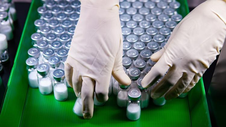 Governo federal anunciou que vacina contra a dengue desenvolvida no Butantan será distribuída a partir de 2026 Governo federal anunciou que vacina contra a dengue desenvolvida no Butantan será distribuída a partir de 2026