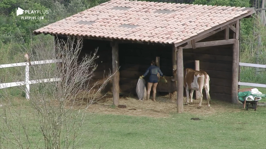 A Fazenda 2020: Stéfani Bays cuida dos animais no reality - Reprodução/RecordTV