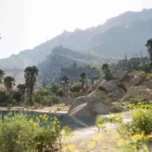 Gráficos de respeito: Forza Horizon 5 tem representação fiel das paisagens  mexicanas 