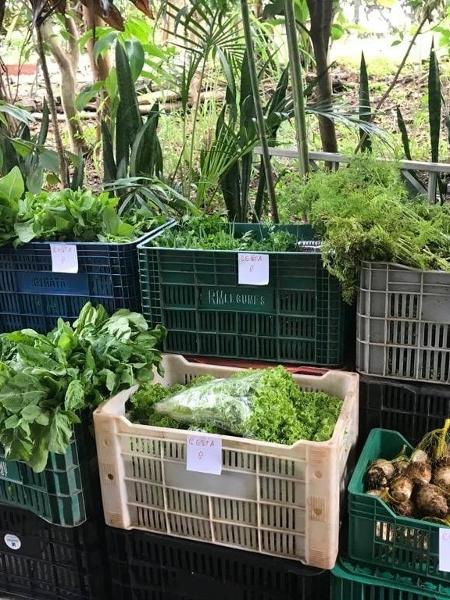 O Ponto de Economia Solidária e Cultura do Butantã conta com horta e um núcleo de comercialização de alimentos orgânicos - Ponto de Economia Solidária