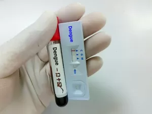 Dengue: conheça os testes indicados para cada fase da doença