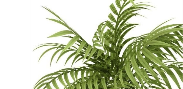 Thinkstock